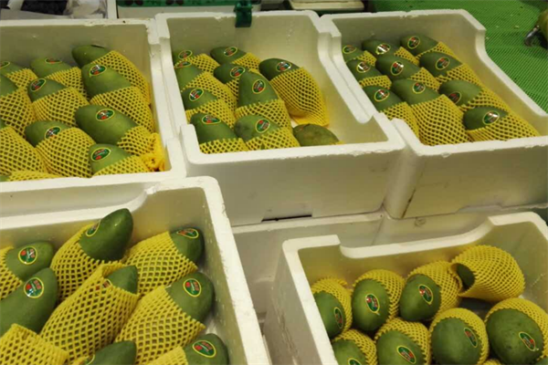 橙小呆水果专卖店