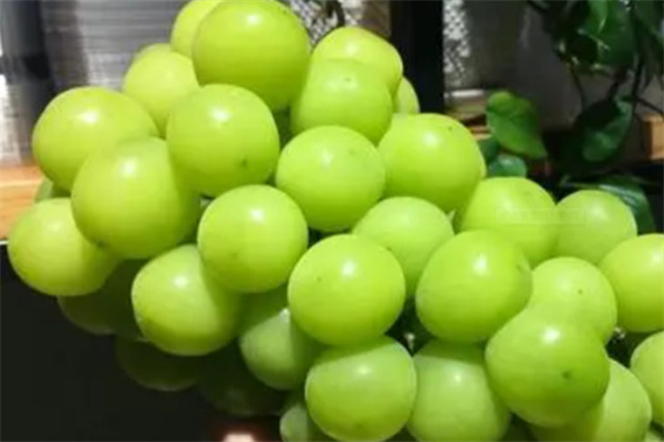 果唯鲜水果店