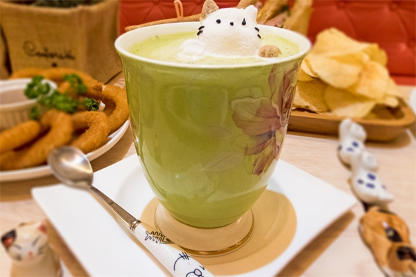 猫奶茶加盟