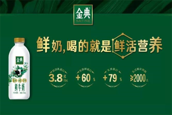 金典牛奶加盟