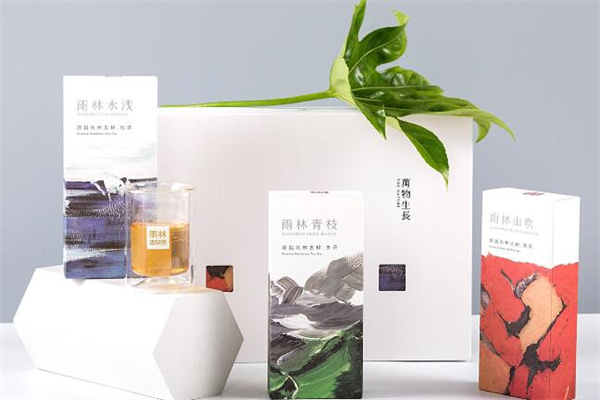 雨林古茶坊加盟