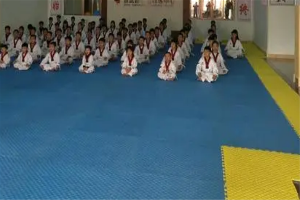 镇武跆拳道