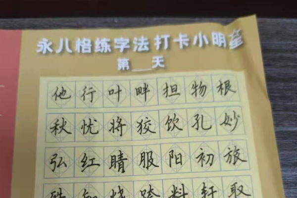 永八格练字法加盟