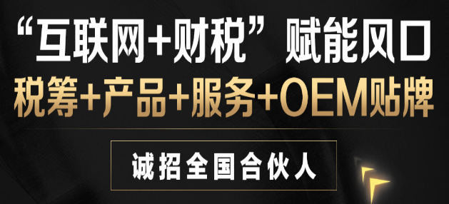 金财税