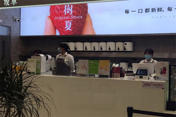 树夏茶饮加盟