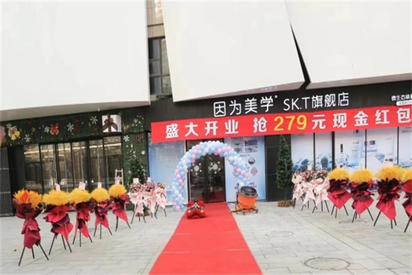 因为美学美容