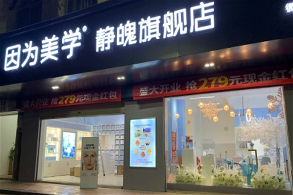 因为美学美容