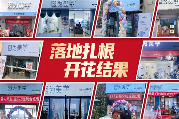 因为美学美容