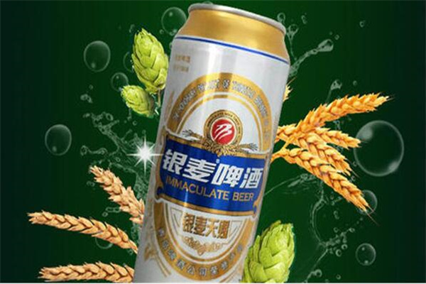 银麦啤酒加盟