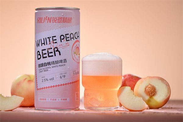 锐恩精酿啤酒加盟
