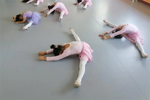 舞墨教育