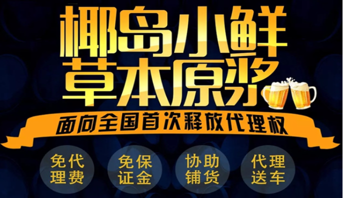 椰岛小鲜啤酒