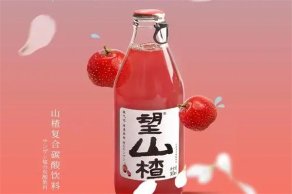 望山楂饮料加盟
