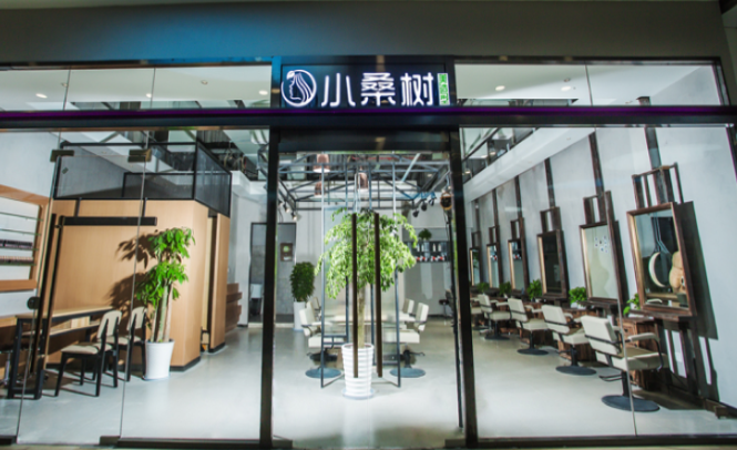 小桑树美发