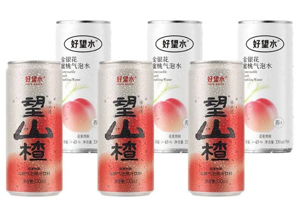 望山楂饮料加盟