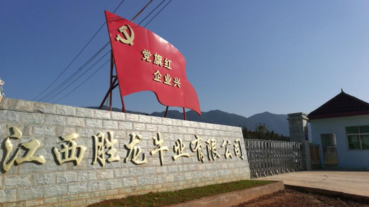 胜龙牛业