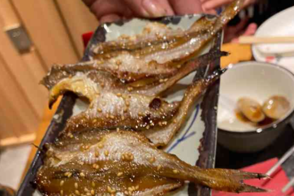 高鸽子锦州烧烤