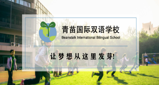 青苗教育
