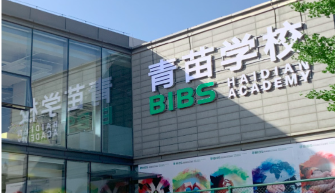 青苗教育