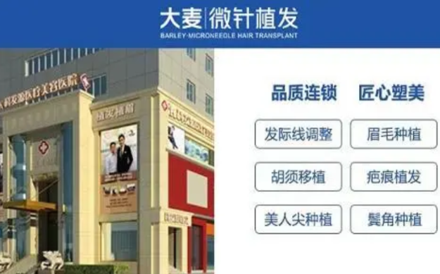 大麦微针植发