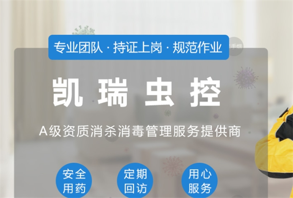 凯瑞虫控