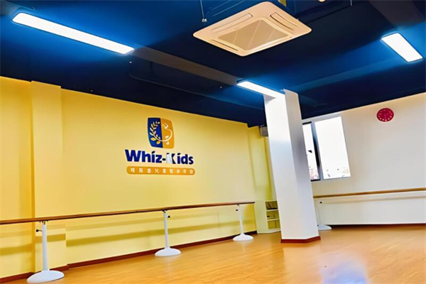 维兹堡儿童艺术学园加盟