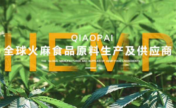 俏牌