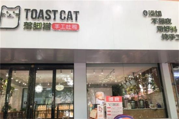 落脚猫吐司