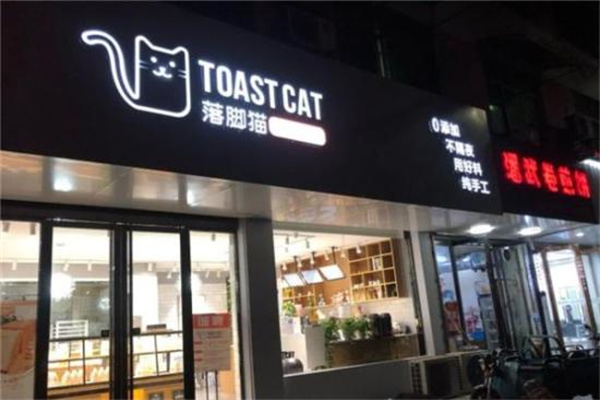 落脚猫吐司