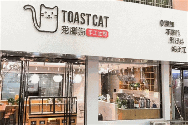 落脚猫吐司