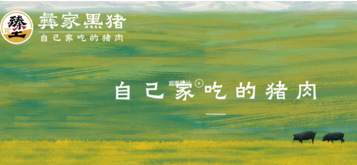 彝家黑猪