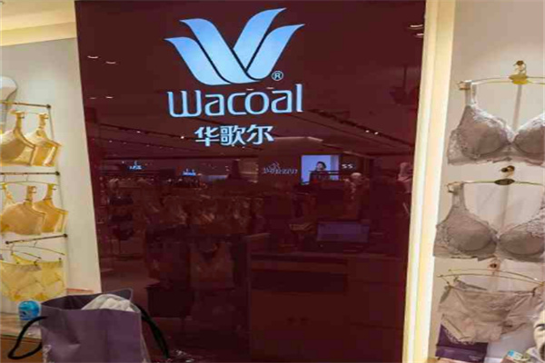 wacoal内衣