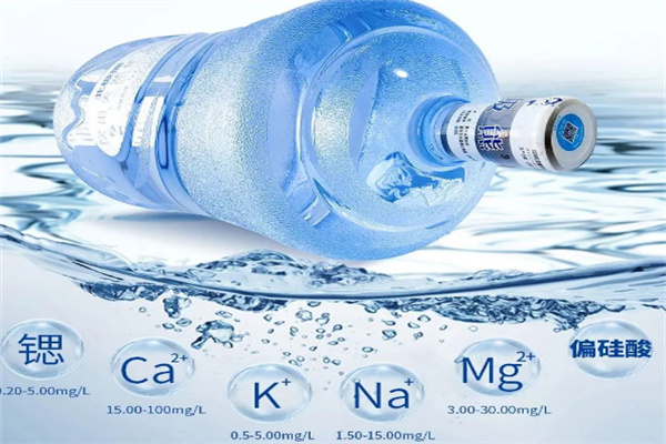 北极熊矿泉水