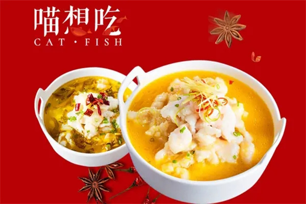 喵想吃酸菜鱼米饭