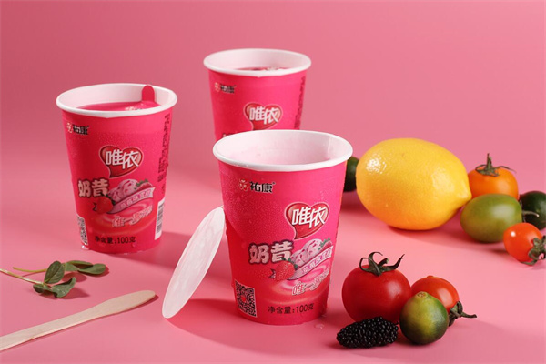 佑康雪糕加盟