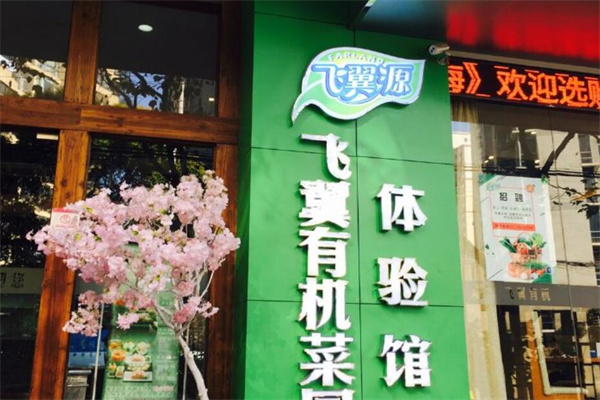 飞翼源有机蔬菜小火锅加盟