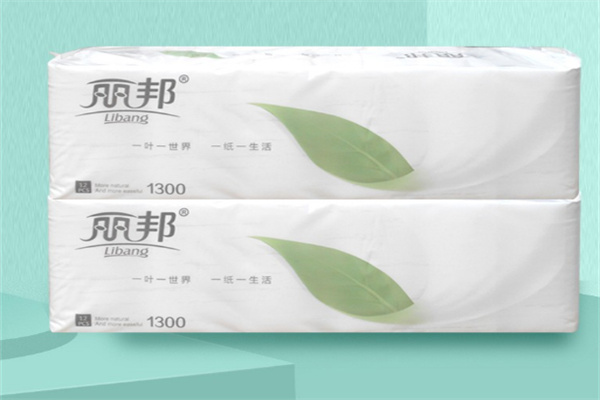 丽邦卫生纸加盟