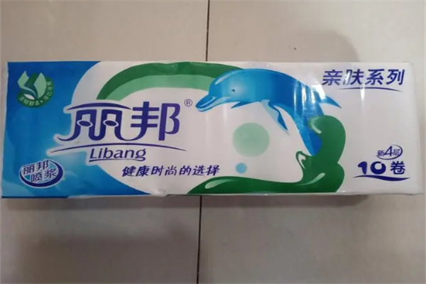 丽邦卫生纸加盟