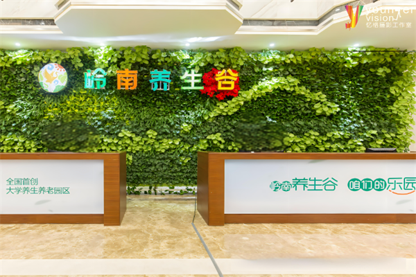 岭南养生谷加盟