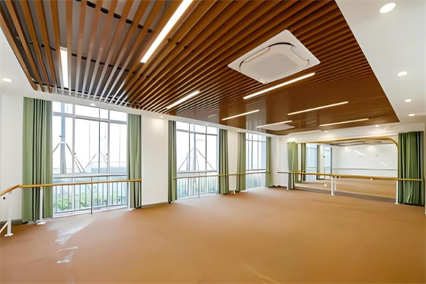 坤媛舞蹈学校加盟