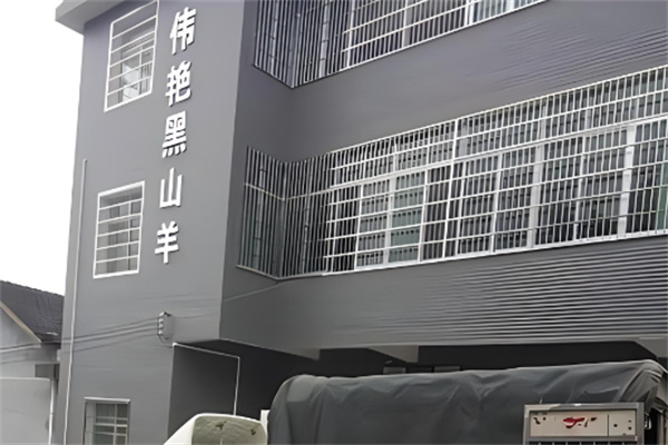 伟艳黑山羊加盟