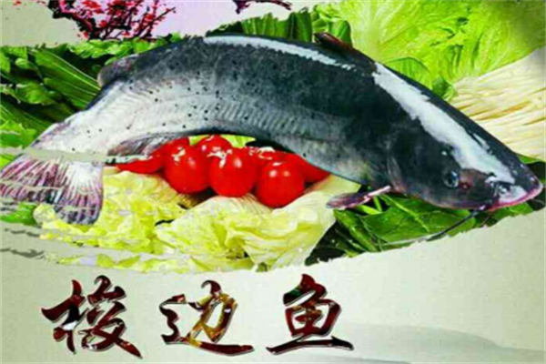 好辣道梭边鱼