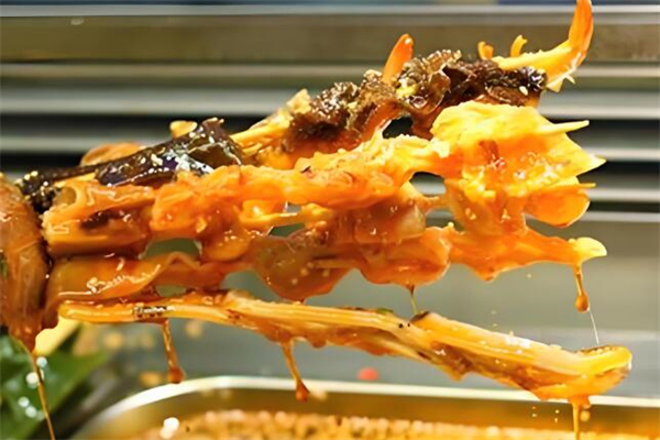 欢乐猫串串