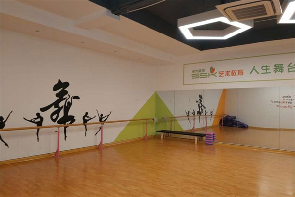 ssk少儿美术招商加盟