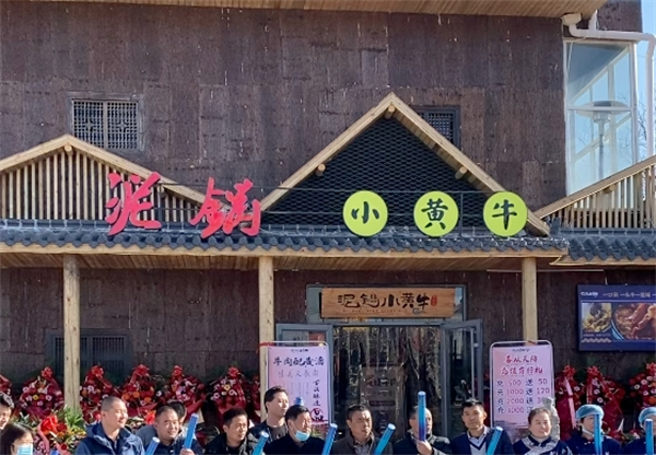 泥锅小黄牛