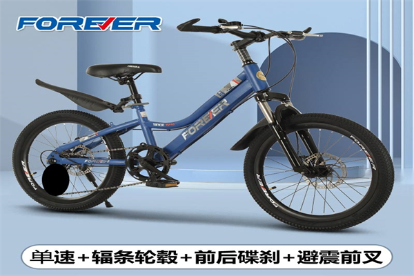 永久童车加盟