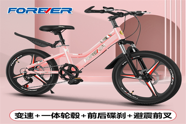 永久童车加盟