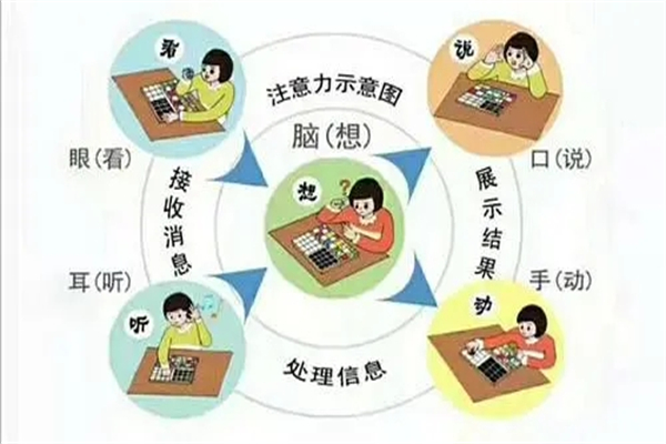 智慧花园全脑开发加盟