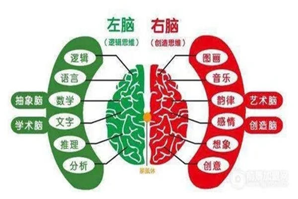 智慧花园全脑开发加盟