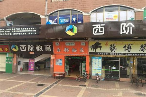 西阶教育加盟